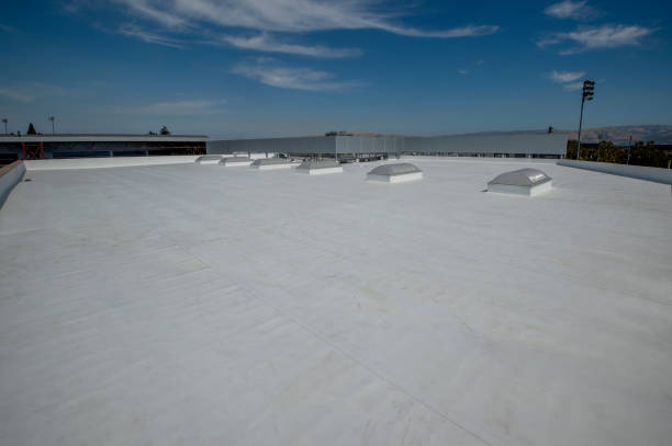 Best Steel Roofing  in Auburn Hills, MI