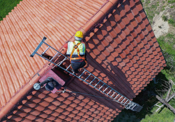 Best Roof Maintenance and Cleaning  in Auburn Hills, MI