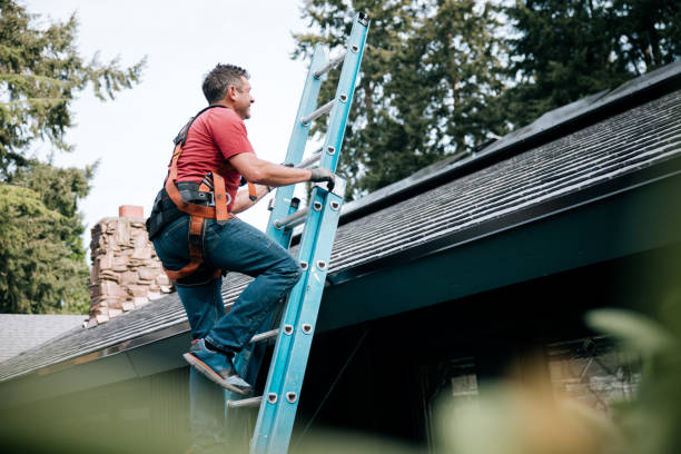 Best Metal Roofing Installation  in Auburn Hills, MI